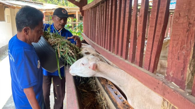 Dari Keterbatasan Menuju Kemandirian: Bagaimana Kelompok Pandawa Patra Memberdayakan Penyandang Disabilitas di Boyolali