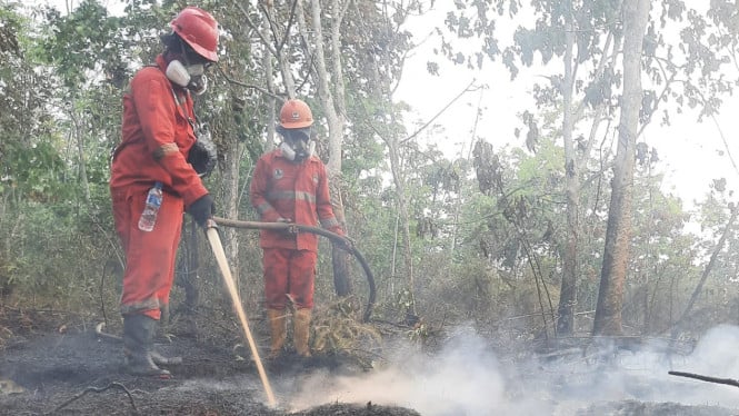 Fenomena El Nino Semakin Kuat, Kalimantan Timur Bersiap Hadapi Puncak Kekeringan pada September-Oktober
