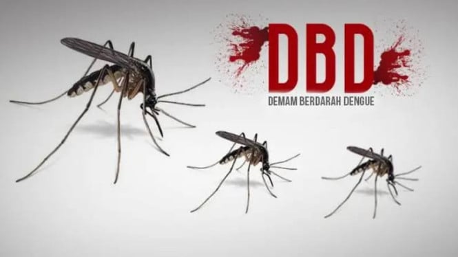 Krisis Tersembunyi Demam Berdarah: Jutaan Pasien Dirawat Inap Tiap Tahun, Ekonomi Nasional Terancam