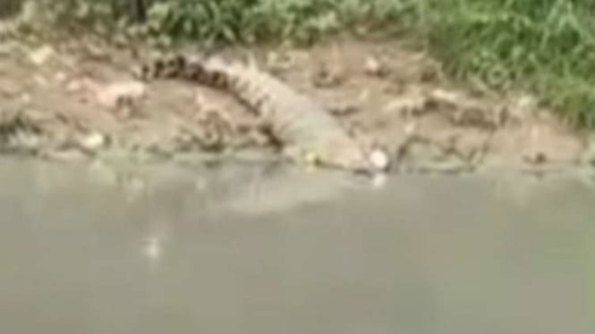 Nelayan Asal Karawang Menghilang Misterius di Sungai Guntung, Pencarian Darurat Dilakukan