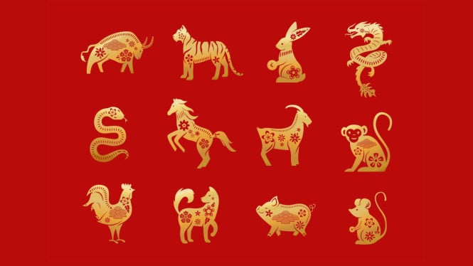 Zodiak Pembawa Berkah: Lima Shio yang Dijanjikan Raih Kesuksesan Finansial Sebelum Memasuki Dekade Keempat
